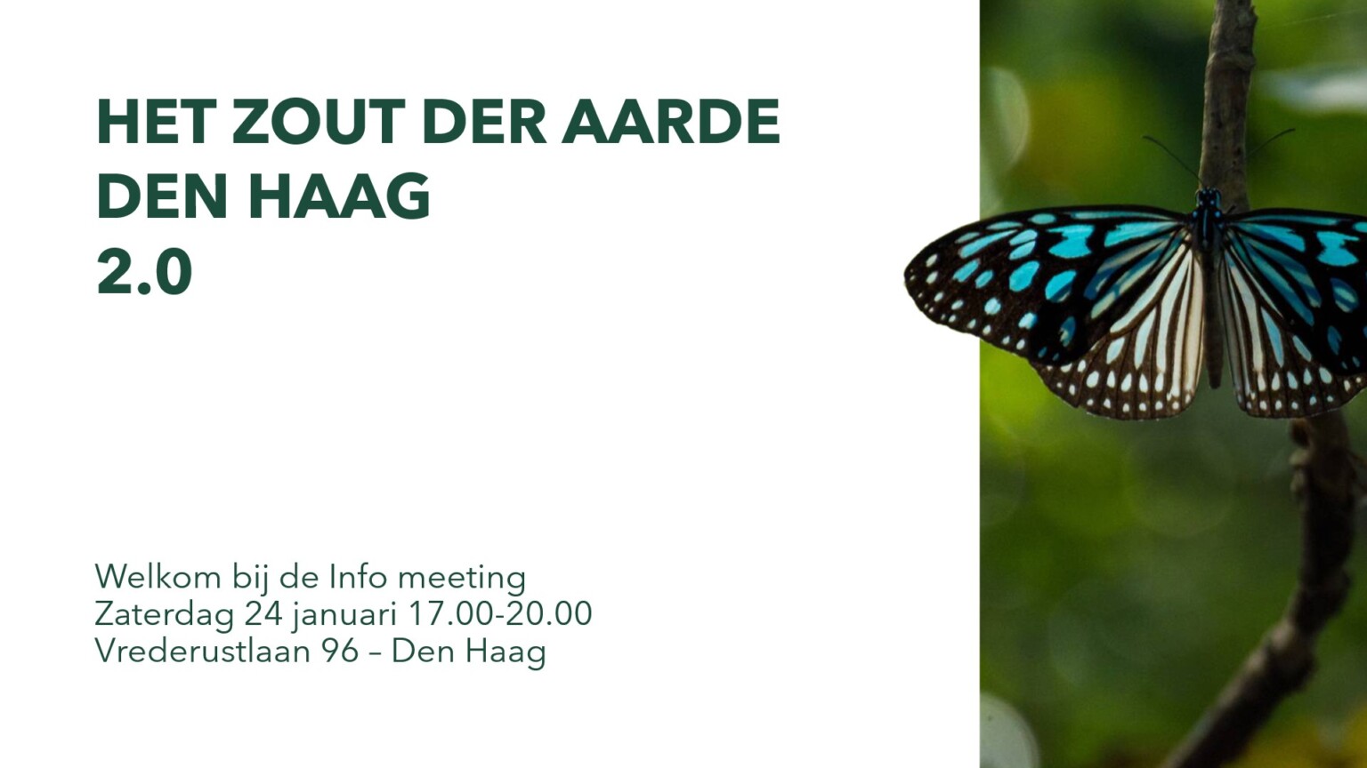 2.0 Info Den Haag